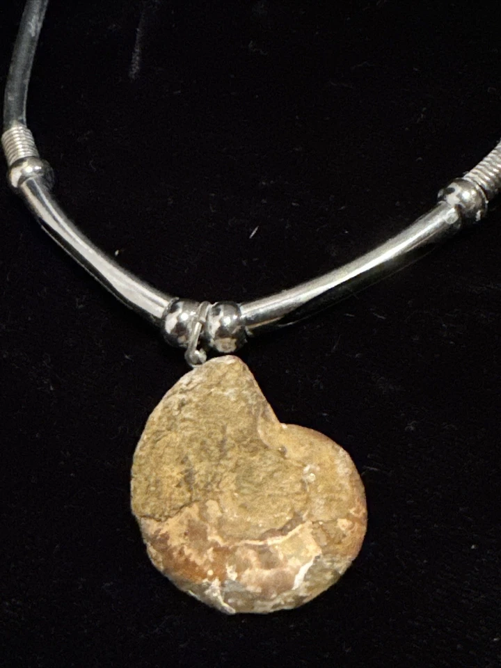Collar de amonita fósil concha con detalles de color plata Foto 4 de 4