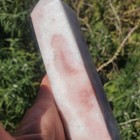 Bild 10 von 10