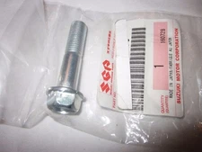 Suzuki RG500 Gamma RG400 Walter Wolf Racing NOS Front Caliper Bolt  RG250W  (83)