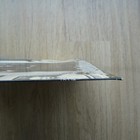 Picture 13 of 17