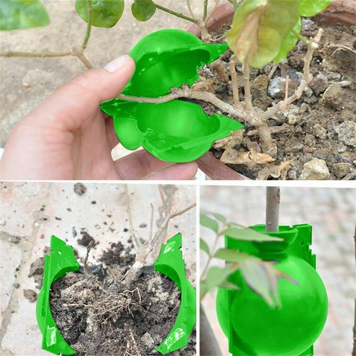 1-10X NEW Plant Rooting High Pressure Propagation Ball Root Grow Grafting Box US - Picture 24 of 36