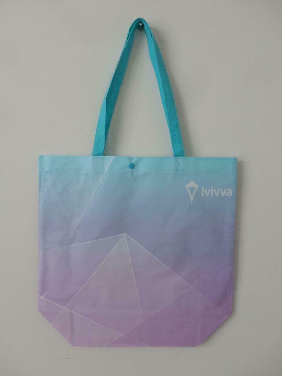 Ivivva bag hotsell
