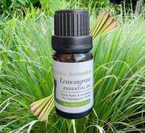 Essential Oils Aromatherapy 100% Pure 10ml Fragrances BUY 3 GET 3 FREE - Picture 22 of 55