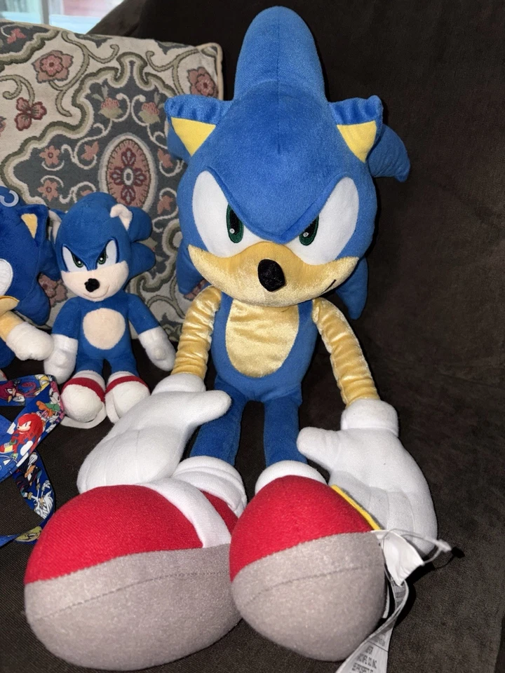 Lote y cordón de peluche Sonic The Hedgehog Foto 2 de 4