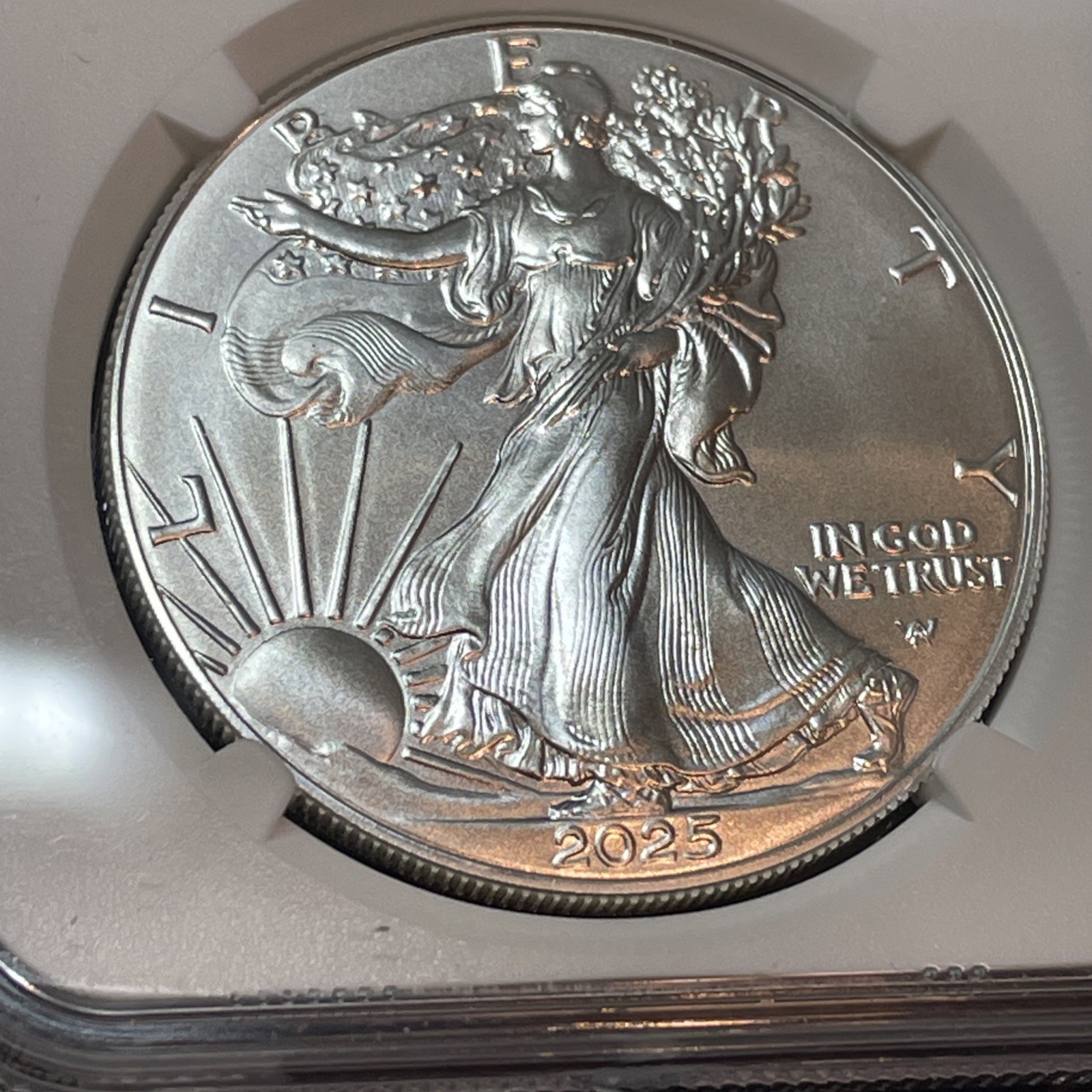 Picture 1 of 6