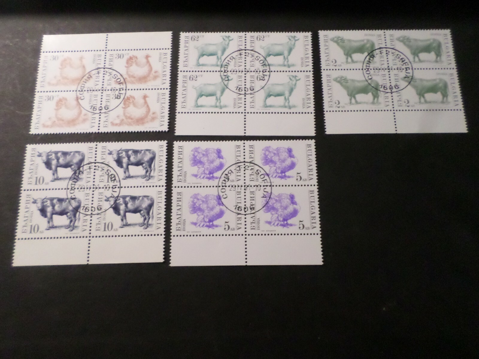 Photo 1/1