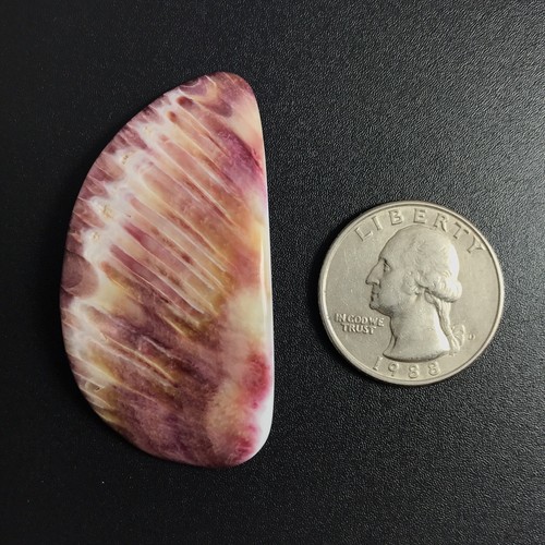 1 pieza - Cáscara de ostra espinosa púrpura natural losa 1, NUEVA venta hágalo usted mismo rara - Imagen 3 de 7