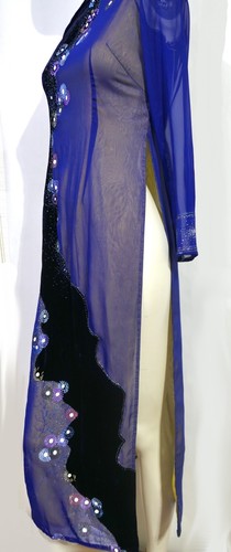 Nha may thuy Vietnamese maxi dress Side slit Sheer lined Velvet sparkle S - Picture 9 of 12