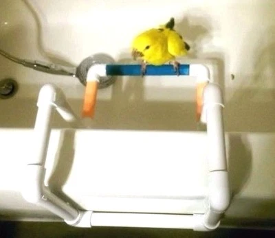 "PERCH PERFECT BIRD SPECIALTIES" Bath / Shower and Travel Perch stand- Keep your birdie safe and happy! 1/2" pvc.