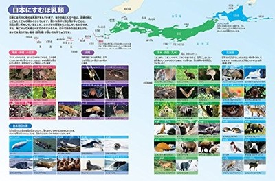 New Edition with DVD: Animals (Shogakukan's NEO Encyclopedia