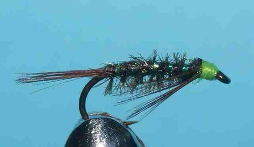 (014) 20 Goldhead / Std Holo Diawl Bach - FLIES HAND TIED TROUT FISHING FLY - Picture 8 of 10