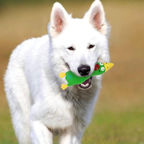  Latex -Entlüftungsspielzeug Kauspielzeug Für Hunde Welpenspielzeug - Bild 12 von 12