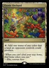 Exotic Orchard #131 MTG Bloomburrow NM X1