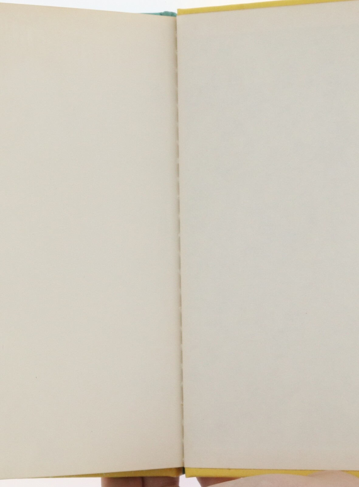 Picture 6 of 11