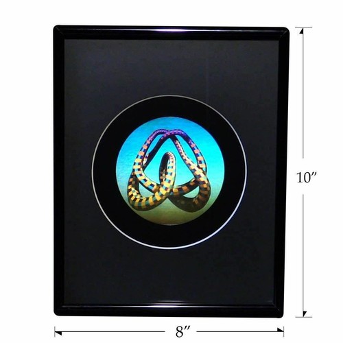 3D Mobius Loop Color Tuned Hologram Picture FRAMED, Collectible Embossed Type - Picture 4 of 7