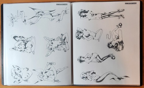 1981-82 Guideline Traditional Vintage 48 Sheets Tattoo Flash In Portfolio Book - Picture 17 of 24