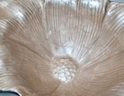 Foto 6 di 8