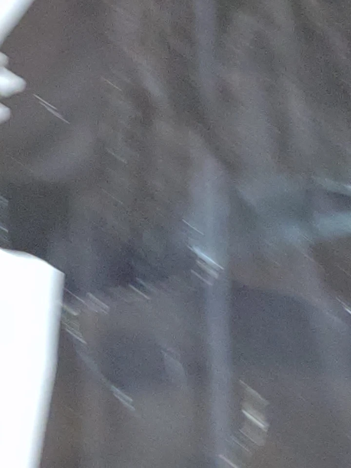 Disfraz de Halloween para niño Dapper Death Grim Reaper esqueleto calavera/4-6 años Foto 4 de 4