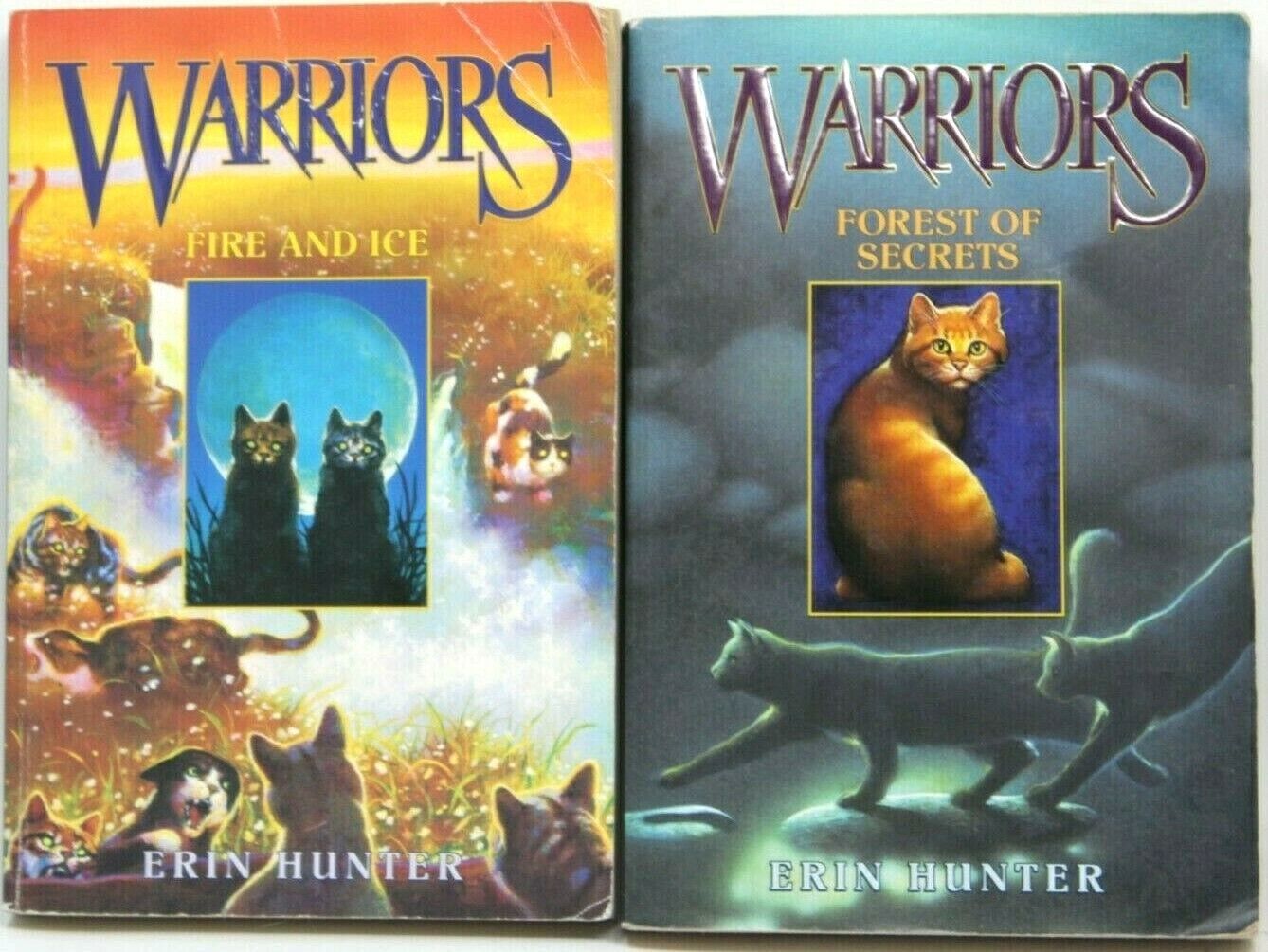 Warriors Fire And Ice Book