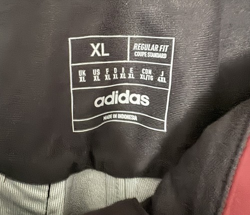 NUEVO $400 ADIDAS TERREX TECHROCK 3L PCN ESQUÍ ALPINO NIEVE PANTALONES ROJOS IB1202 Talla XL - Imagen 8 de 11