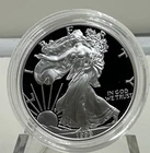1999 P American Silver Eagle Gem Proof In Plastic Holder No Box #1