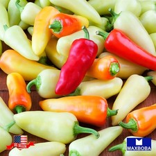 40 Hot Santa Fe Grande Pepper Seeds Non-GMO Heirloom Vegetable BTGO 75 OFF