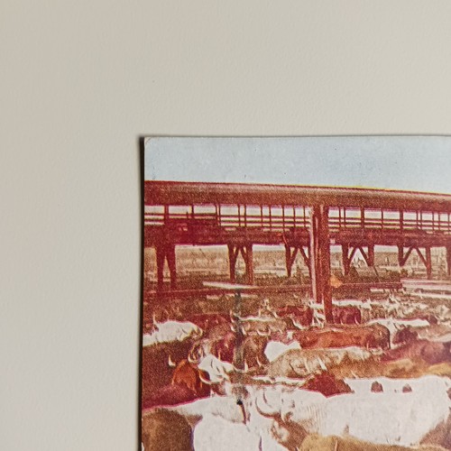 Postkarte Stock Yard Szene in Chicago Illinois Rinder verschickt 1915 - Bild 3 von 8