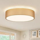 Vikaey Gold LED Ceiling Light, Modern Flush Mount Ceiling Light Fixture, Mini...