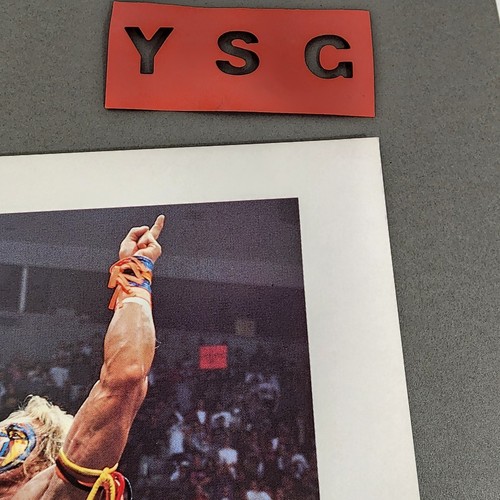 (2) WWF Ultimate Warrior foto promo 8x10 originale 1996 WWE wrestling con licenza - Foto 14 di 15