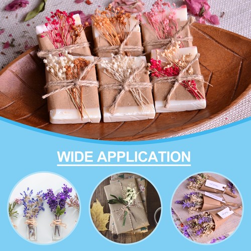 10 Pcs Mini Forget-me-not Dried Flower Bouquet Baby's Breath Boho Yellow - Picture 6 of 6