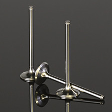 Vit032    Wiseco Powesports Valve Titanium Int Fits Suzuki Rmz450  08 19