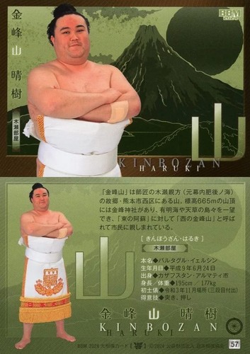 Hibiki Sumo Card BBM 2024 Regular Yama Kinom | Sports Trading Card