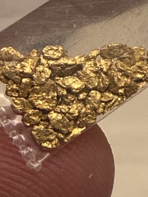 #ad #ad Gold Fever Pay Dirt Guaranteed To Find Gold Authentic Free Shipping 3 Lbs Fast $38.99