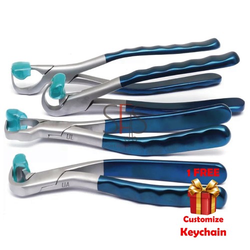 Physics Forceps Dental Extraction Molar Atraumatic Tooth Dental Tool Set of 4 CE - Picture 2 of 6