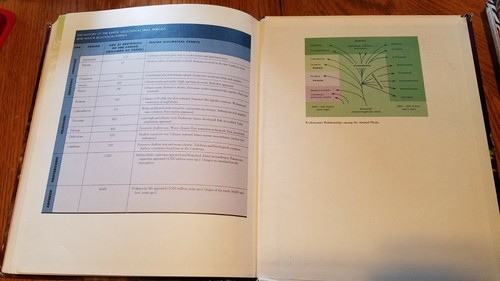 Zoology by John P. Harley and Stephen A. Miller Sixth Edition - Bild 6 von 6