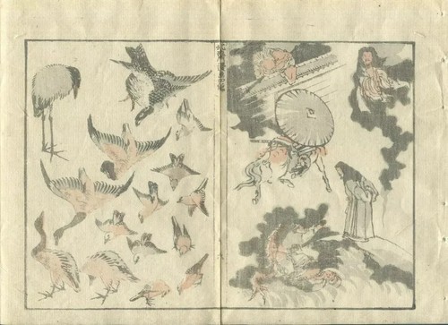 Antique Original Japanese WoodPrint Original Pigeons c. 1890 Edo/Meiji Asian Art - Picture 8 of 9