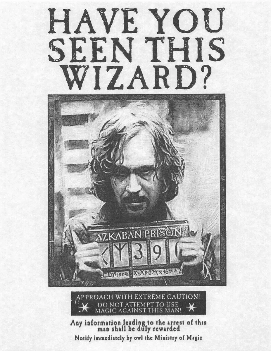 Have You Seen This Wizard? – Mais um Leitor