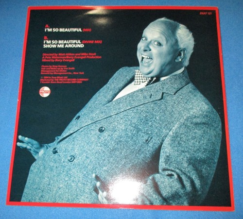 RARE 1984 DIVINE I'm So Beautiful 12” Gay Trans Studio 54 Disco - Picture 2 of 6