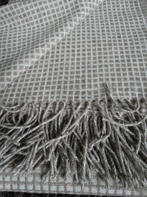 Bild 5 von 6