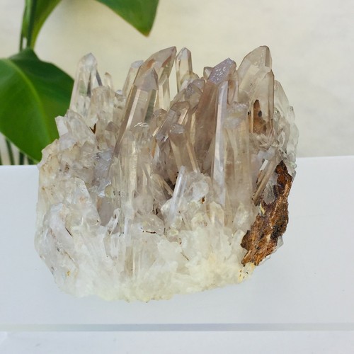 660g Natural Clear White Quartz Crystal Cluster Mineral Rough Specimen Healing - Picture 7 of 12