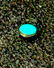 Picture 8 of 13