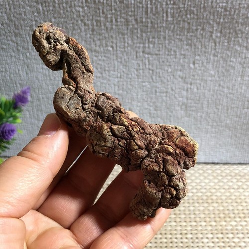 Muestras minerales en bruto estiércol dinosaurio coprolito 97 g d7 - Imagen 2 de 11