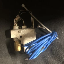 Raypak Pilot Burner Assembly Natural 601534 for Pool/Spa