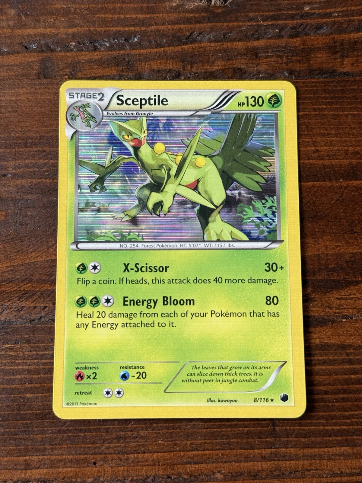 Sceptile 8/116 Plasma Freeze Holo