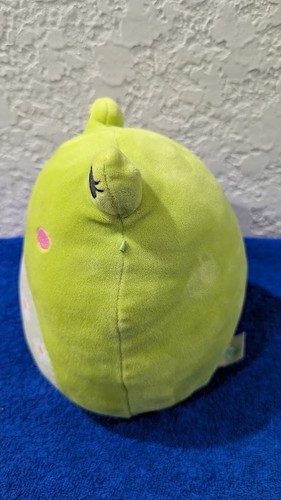 Squishmallow 7" Wendy The Frog Floral Blumen Bauch schwarze Augen Ostern '2022 gebraucht - Bild 3 von 7