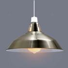 Bild 251 von 281