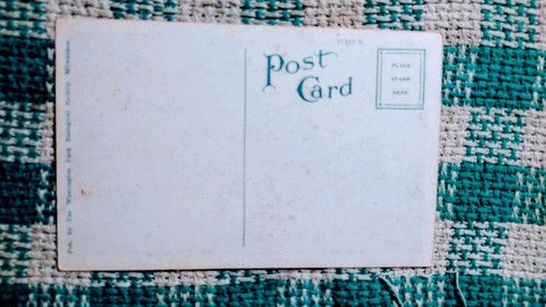 VINTAGE POST CARD LION-AFRICA ZOOLOGICAL GARDEN,MILWAUKEE,WIS - Picture 11 of 11