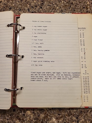 Meine Rezepte 3 Ringbuch Umschläge mit Rezepten MCM Vintage 60er Jahre Organizer - Bild 11 von 13