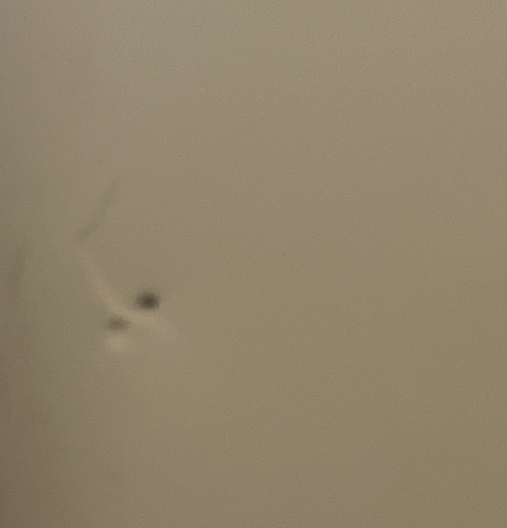 Picture 7 of 8