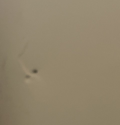Hp Laser Jet Pro M402dn - Picture 7 of 8